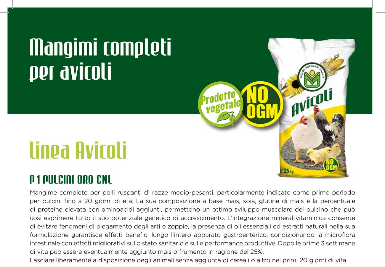 articoli animali da cortile