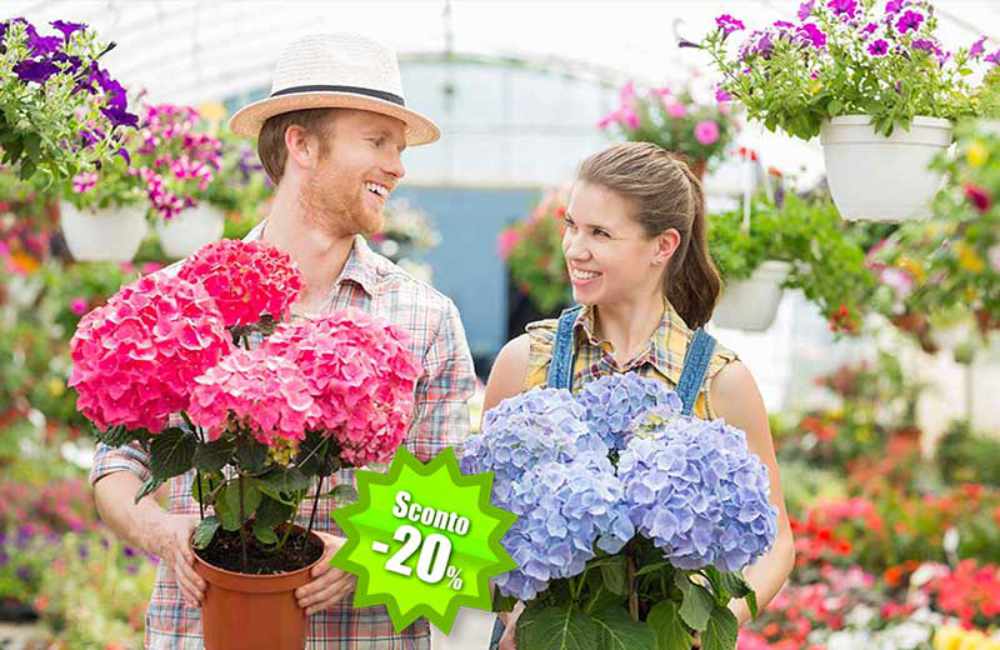 pet garden shop perugia offerte 2024