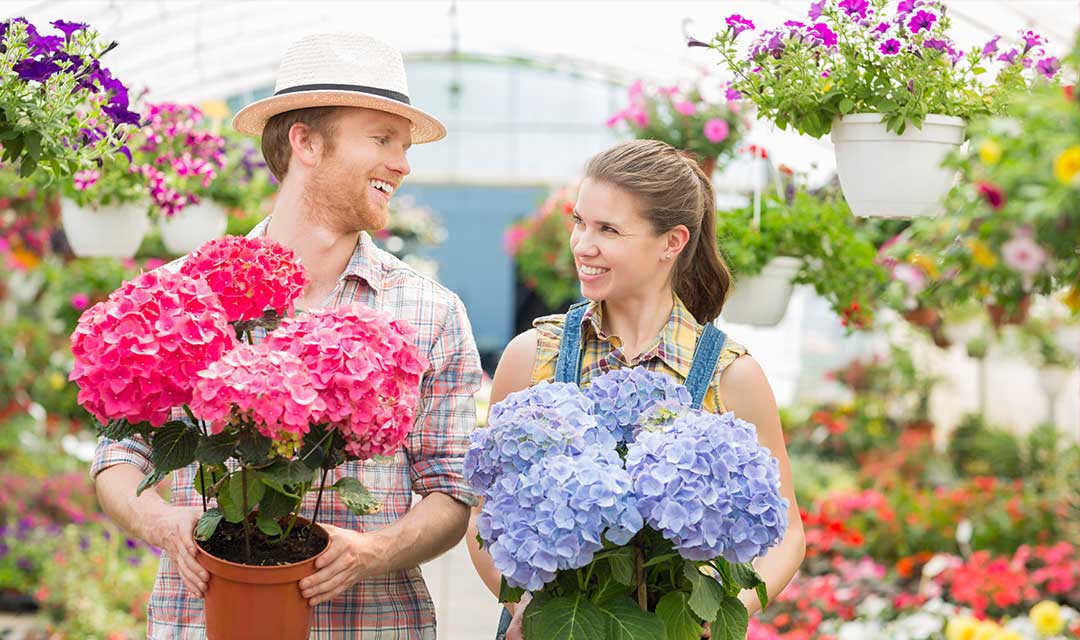 Articoli per l'orto e il giardino