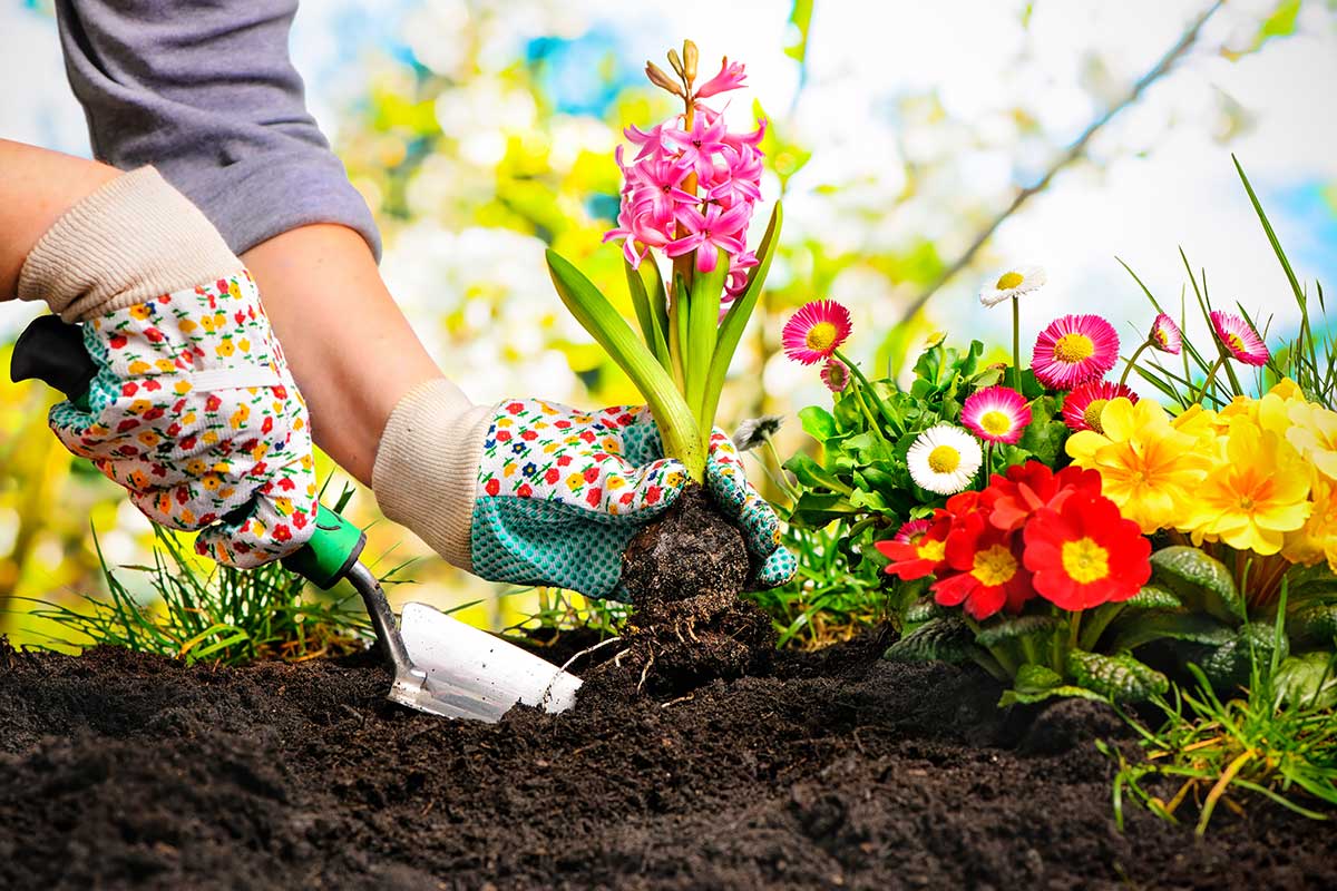 Articoli per l'orto e il giardino