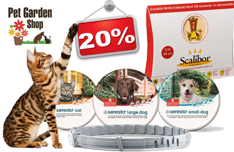 offerte pet garden shop perugia