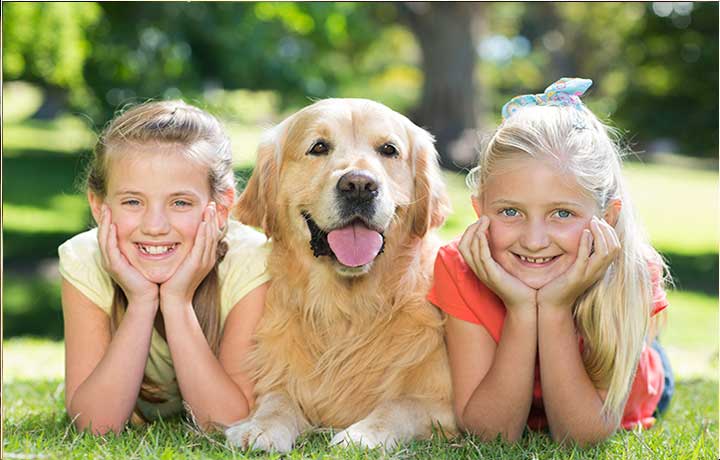 prodotti per cani e gatti a perugia