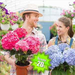 pet garden shop perugia offerte 2024