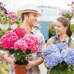 Articoli per l'orto e il giardino