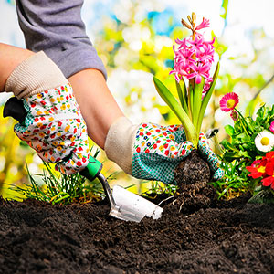 Articoli per l'orto e il giardino