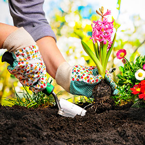 Articoli per l'orto e il giardino