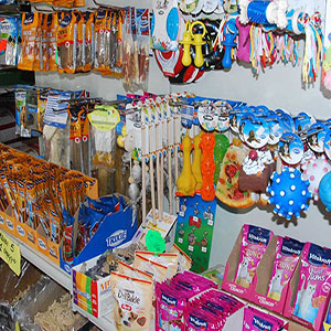 articoli animali domestici